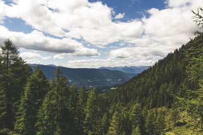 pine covered mountains with white clouds against a blue sky